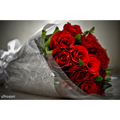 12 Κόκκινα Τριαντάφυλλα Σε Ανθοδέσμη