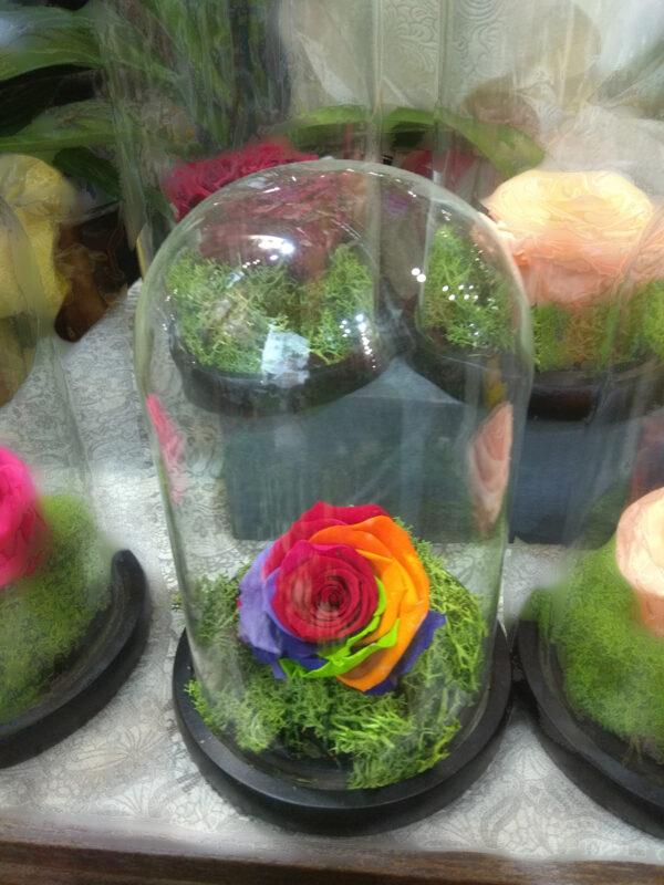 Forever Rose | Τριαντάφυλλο τρικολόρε  σε γυάλα που κρατάνε 4 χρόνια χωρίς περιποίηση