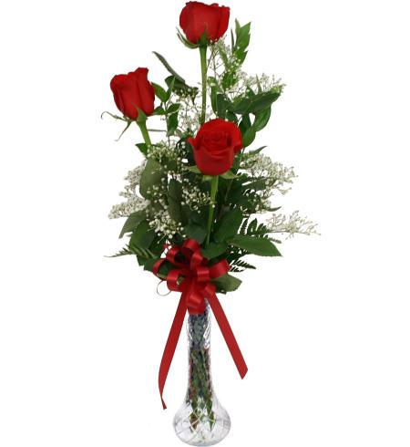Τριαντάφυλλα σε Βάζο - ROSE 42006