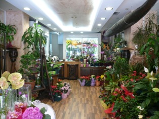 flowershopathens.gr, το online ανθοπωλείο που προσφέρει γρήγορη και αξιόπιστη αποστολή λουλουδιών σε όλη την Αττική.